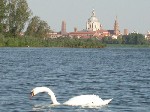 Mantcigno