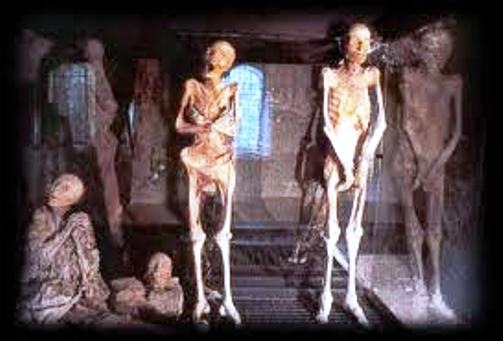Museo delle mummie