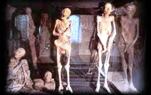 Museo delle Mummie