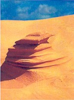 Dune