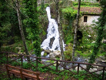 Cilento, natura viva