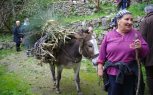 Cilento, vita contadina