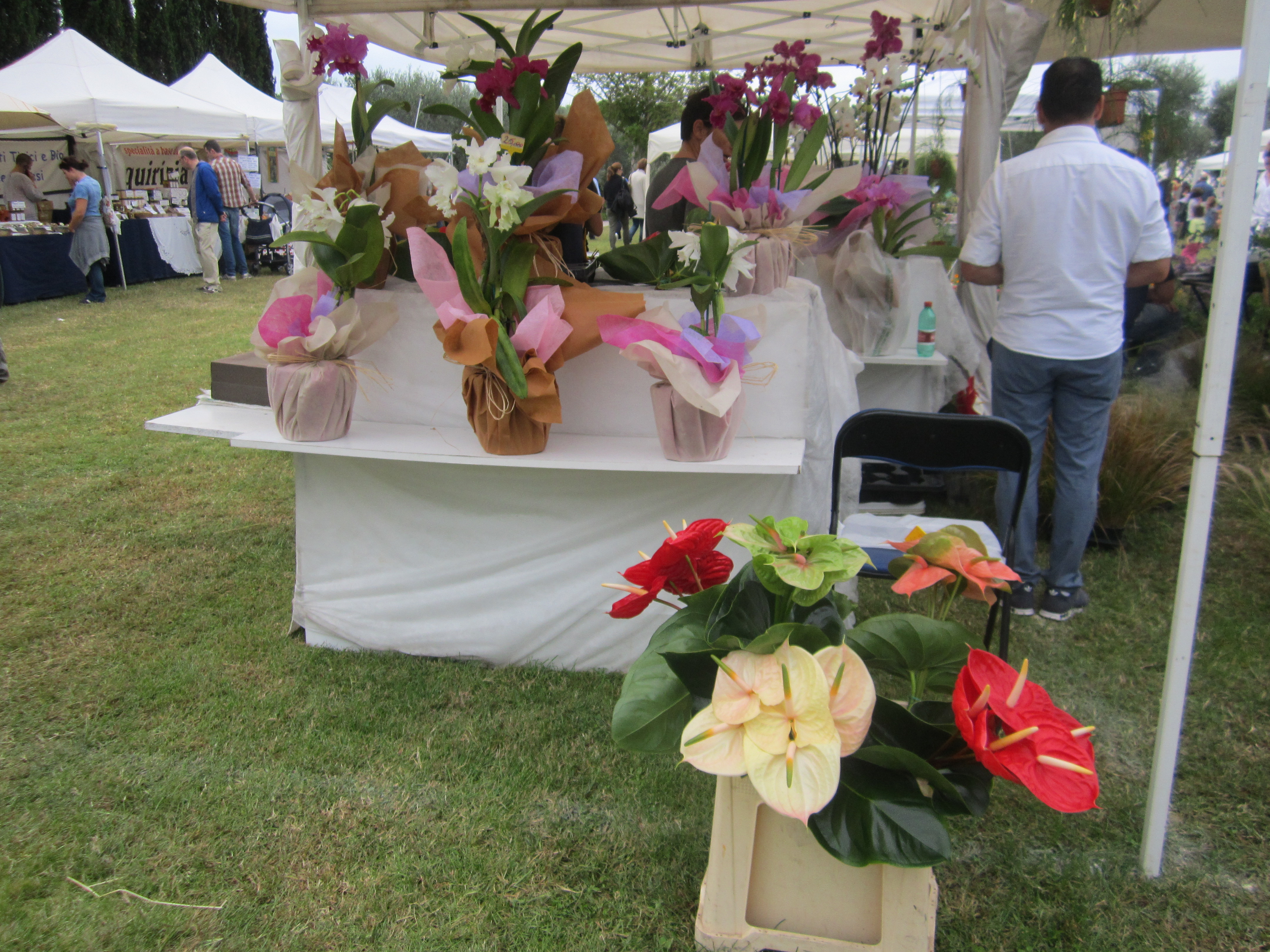 Flowers show