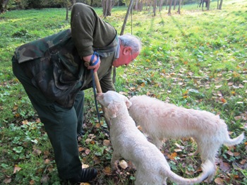 Maestro tartufaio con cane